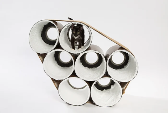 1.+Abramson+Architects Photo+credit +Meghan+Bob+Photography WEB 8.+HOK photo+credit+MeghanBobPhotography