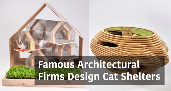 Famous Architectural Firms Design Cat Shelters