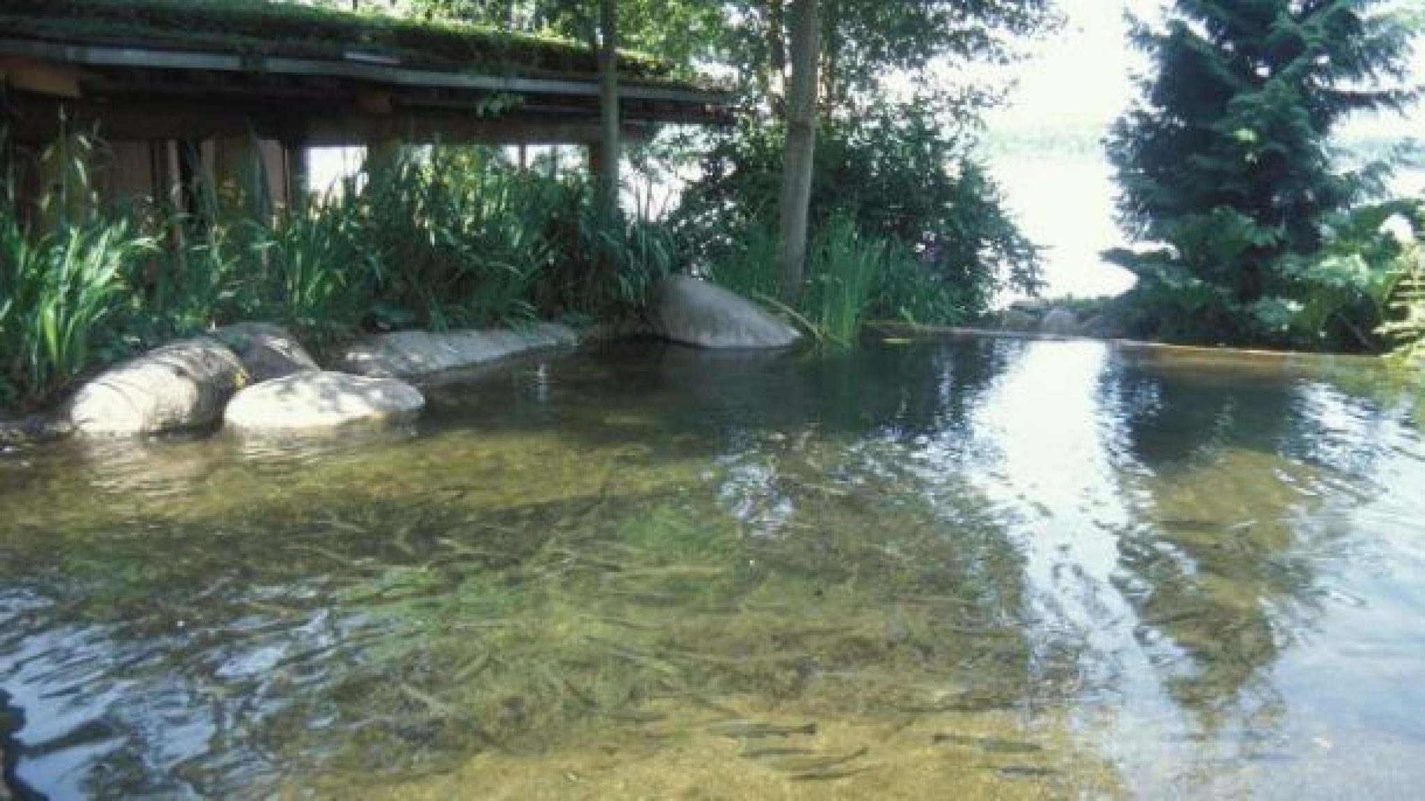 9 Facts About Bill Gates&rsquo; House You Probably Didn’t Know About It