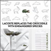 software konstruktion tildele New Lacoste Collection Designed to Save 10 Threatened Species - Arch2O.com