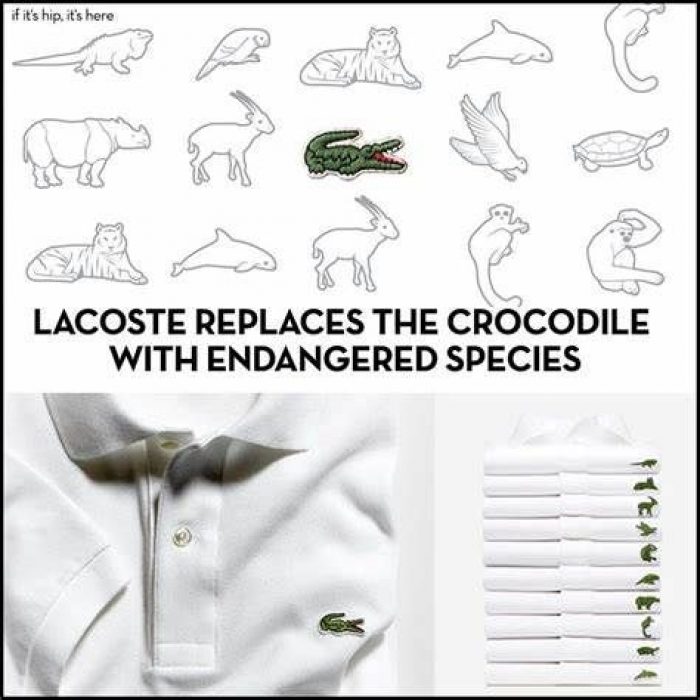 Lacoste Special Edition Animals on Sale, 54% OFF | www 