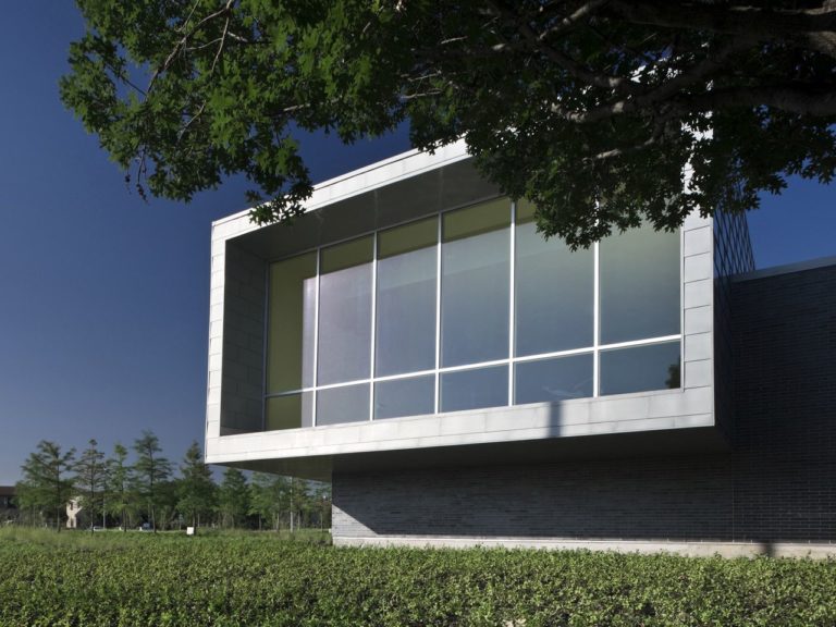 Dallas Public Library Lochwood Branch | MSR Design