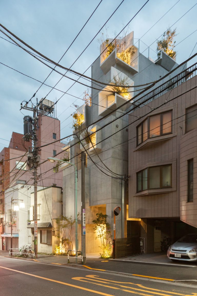 Tree-ness House | Akihisa Hirata