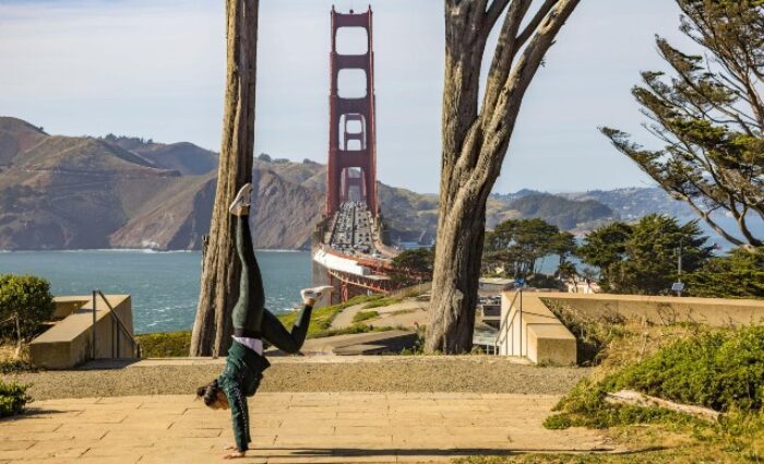 Golden Gate bridge overlook cypress trees pexels robert so 12083560 Golden Gate bridge overlook cypress trees pexels robert so 12083560