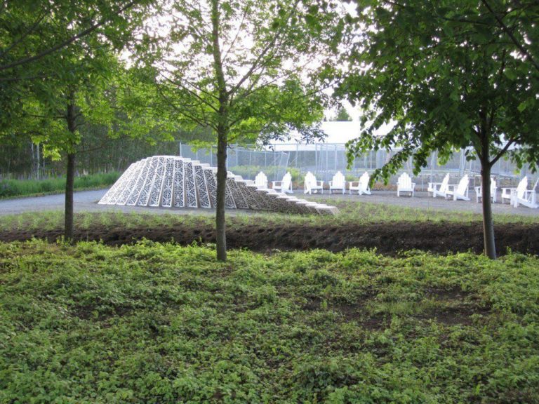 Surface Deep Garden | asensio_mah