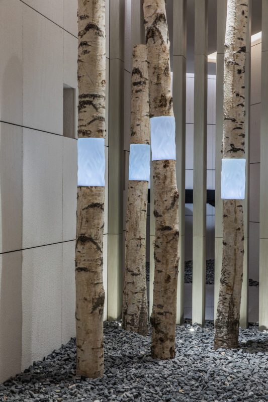 Shenzhen C11 Shenzhen C11