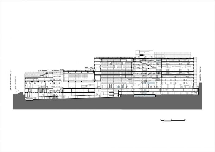 Avenues The Word School