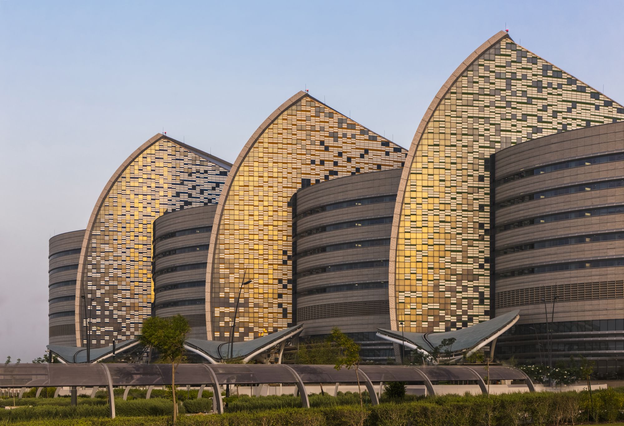 sidra medical and research center qatar