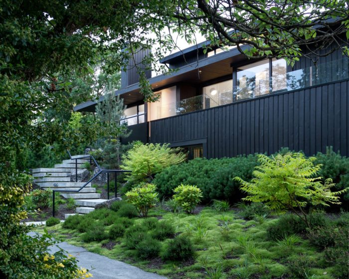 Split Level House | D'Arcy Jones Architects