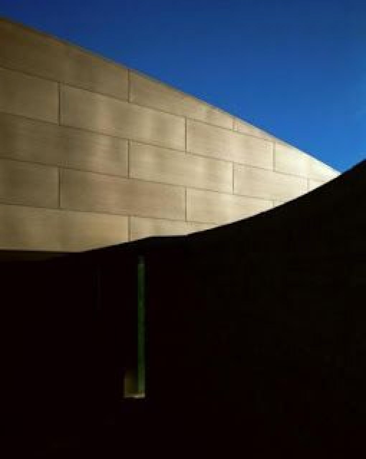 Blades Residence Morphosis Architects