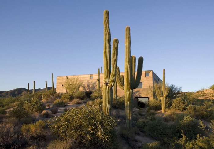 Desert Courtyard House