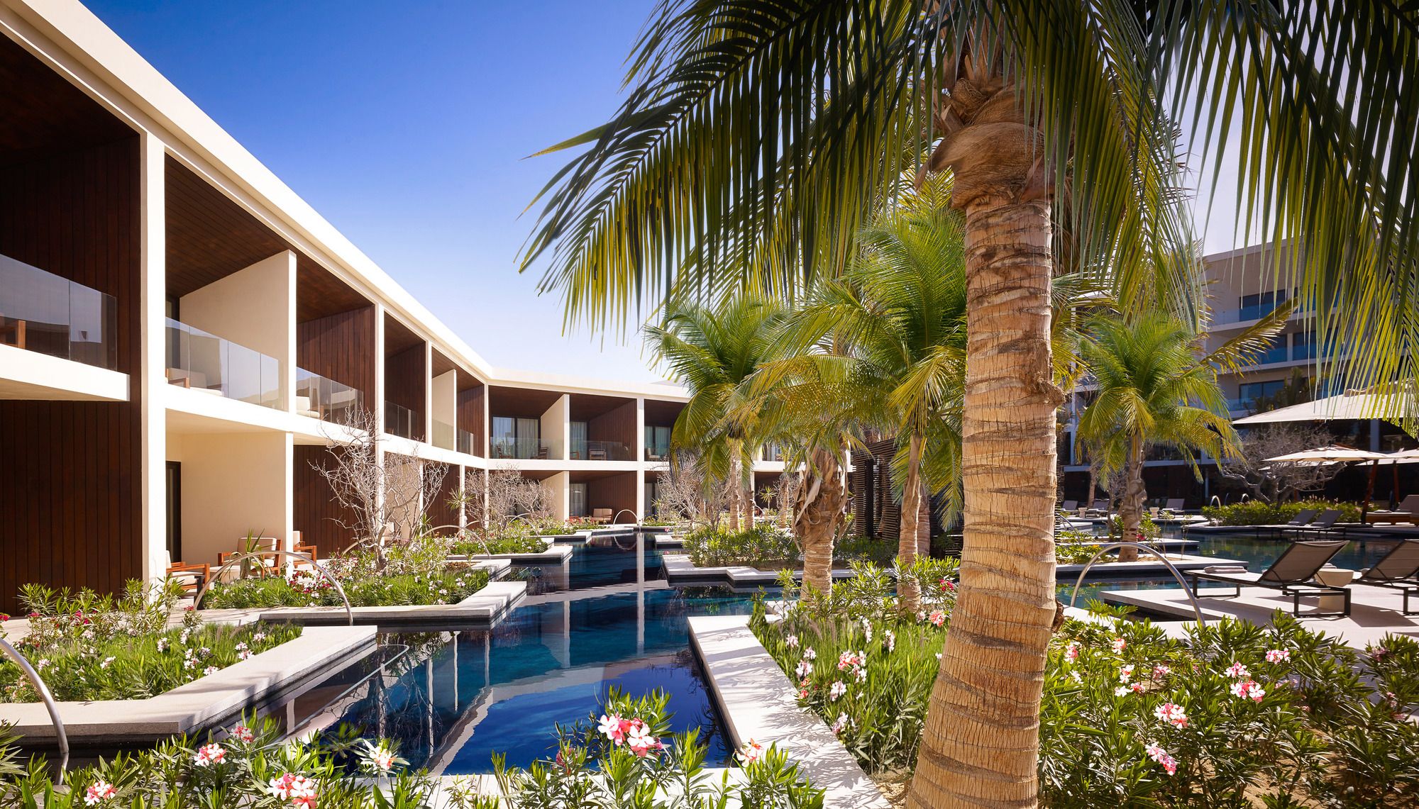 Nobu Hotel Los Cabos  WATG + Studio PCH 