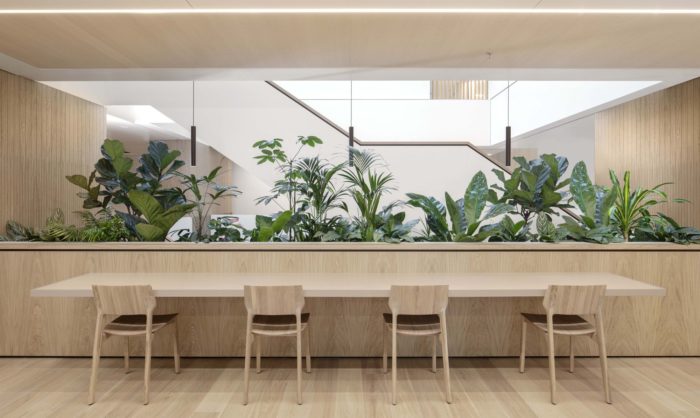 House of Dentons | Studio Prototype