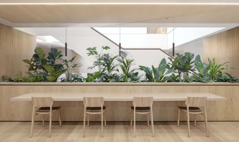 House of Dentons | Studio Prototype