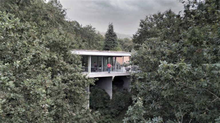 Treetop House | João Marques Franco