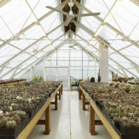Arch2O-greenhouse-as-a-home-bias-architects-11