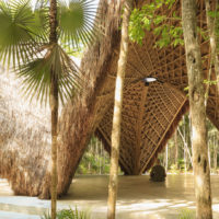 Bamboo Arch2O