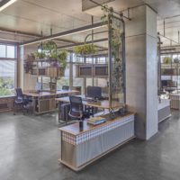 Antik Dantel HQ | Zemberek Design