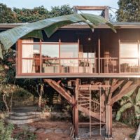 Wooden Treehouse C