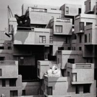 Arch2O-30 Pictures of Brutalist Architecture Made Adorable120
