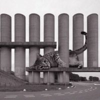 Arch2O-30 Pictures of Brutalist Architecture Made Adorable120