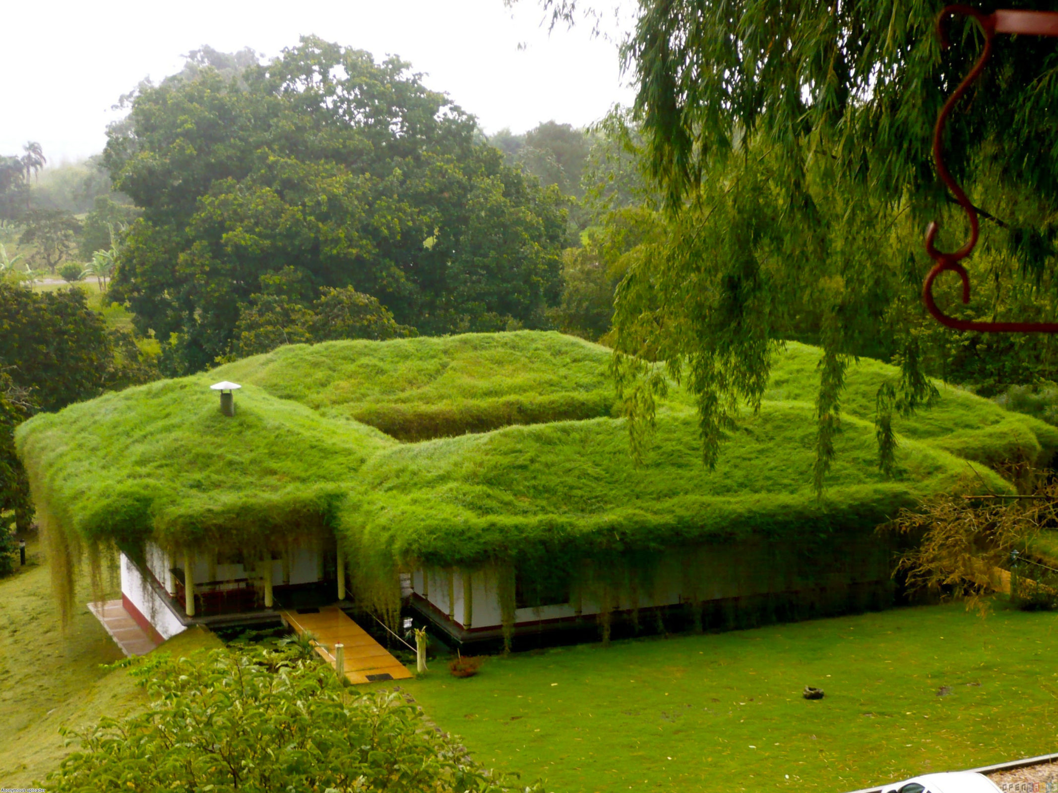 How Do Living Roofs Work? Explained in 20 Examples