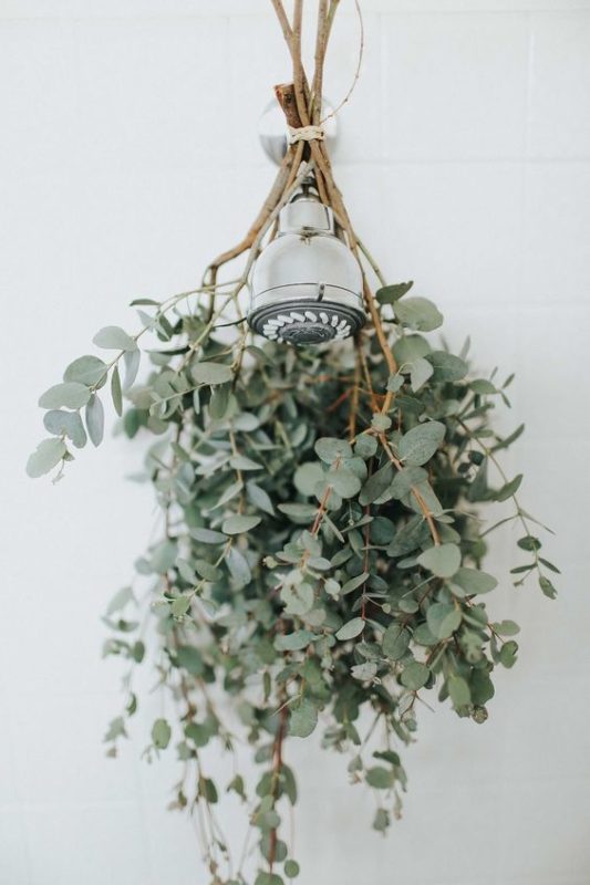 calming shower plants Arch2O
