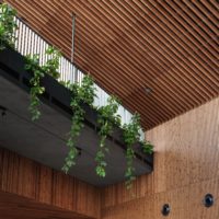 Arch2O tallinn cruise terminal stuudio tallinn salto architects 13