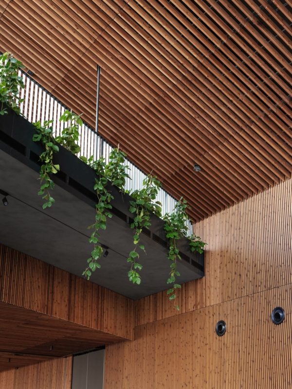 Arch2O tallinn cruise terminal stuudio tallinn salto architects 13