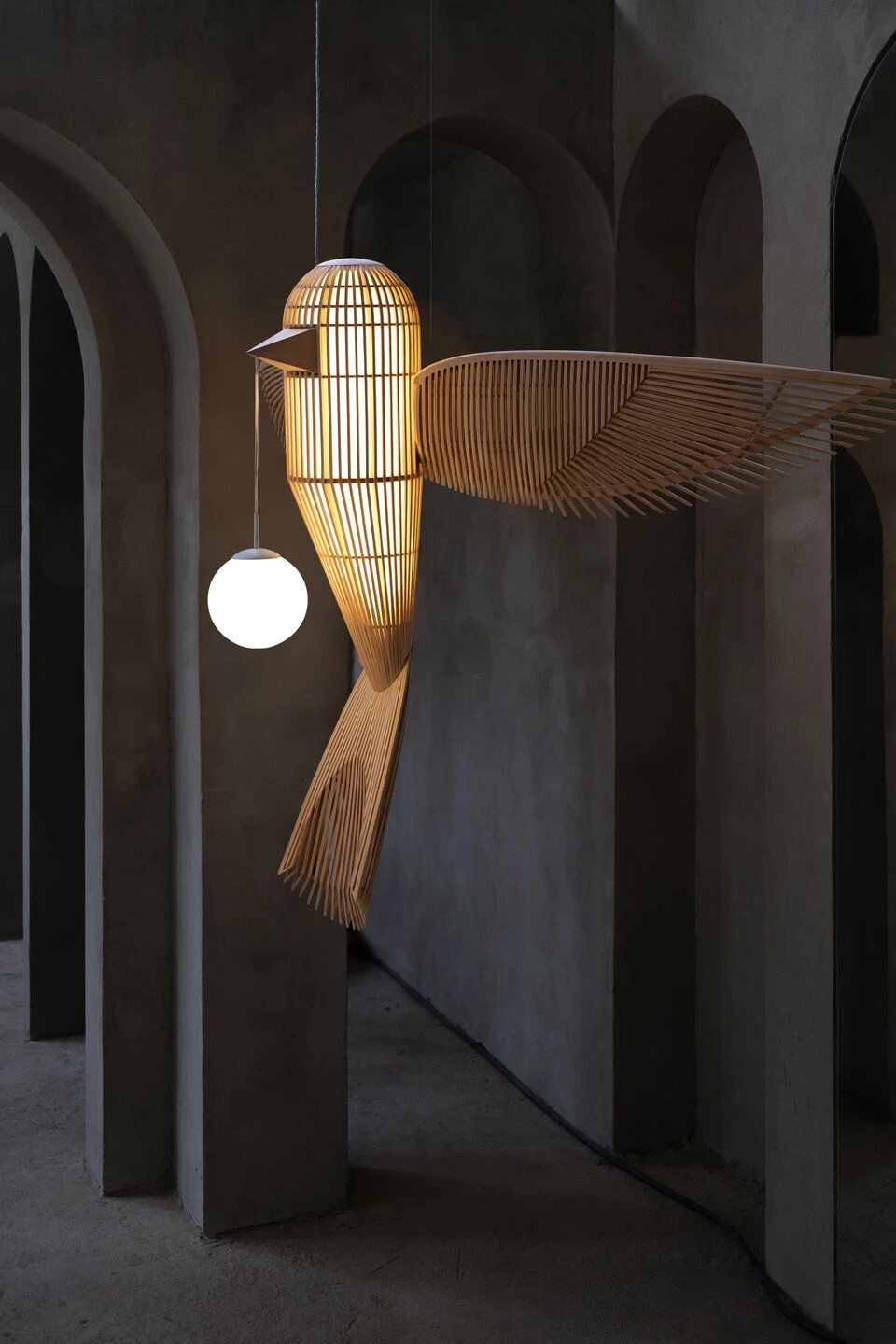 Birdy | LZF - Image 4