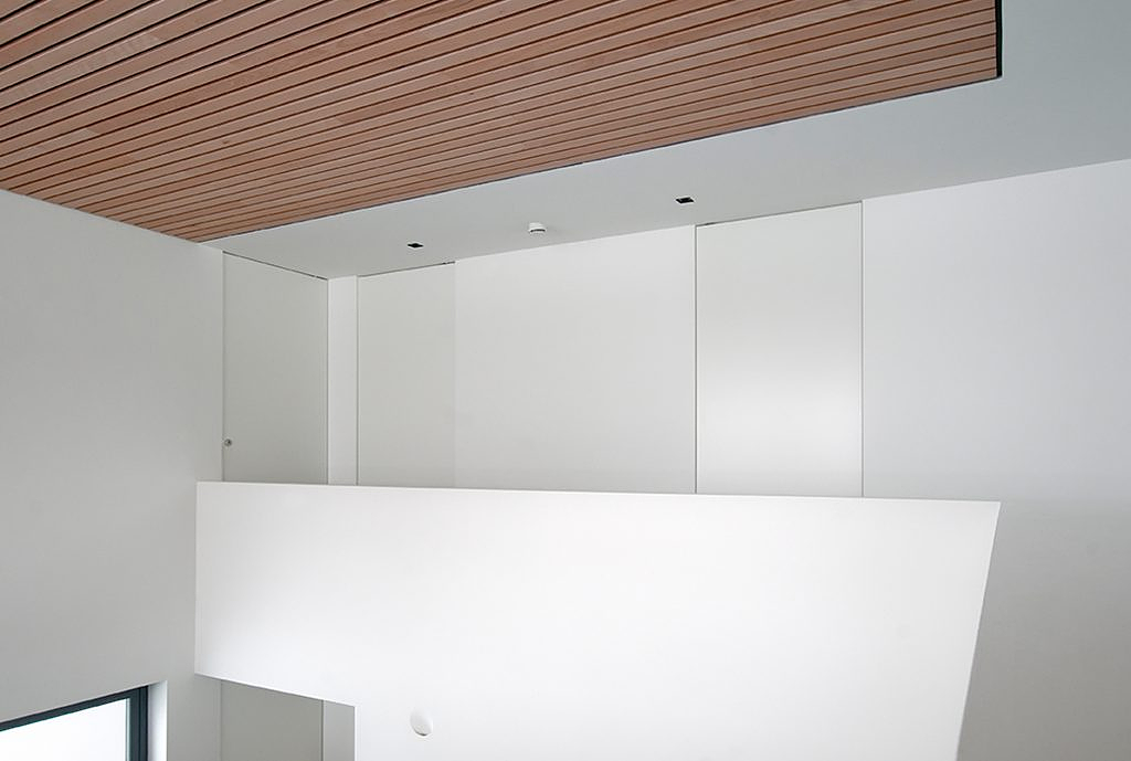 Pivot Hinges for Frameless Pivot Doors | FritsJurgens - Image 9