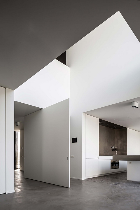 Pivot Hinges for Interior Pivot Doors | FritsJurgens - Image 7