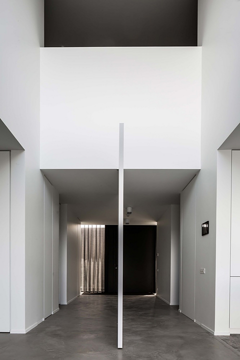Pivot Hinges for Interior Pivot Doors | FritsJurgens - Image 8