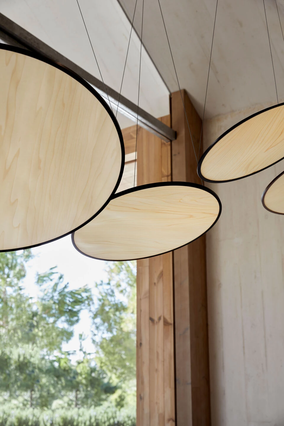 Suns | LZF - Image 4