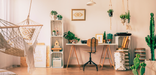 Houseplant Trends Arch2O