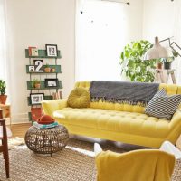 Sofa Ideas for Small Living Rooms Arch2O