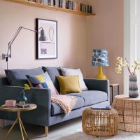 Sofa Ideas for Small Living Rooms Arch2O