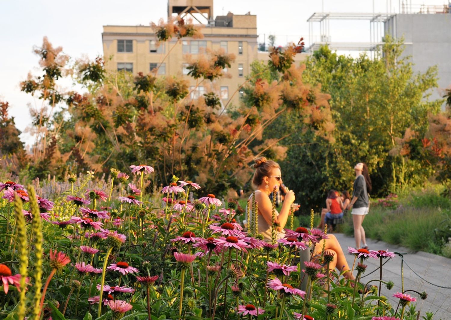 Multifunctional Spaces Are Fundamental for a Better Quality of Life: Read This To Find Out Why