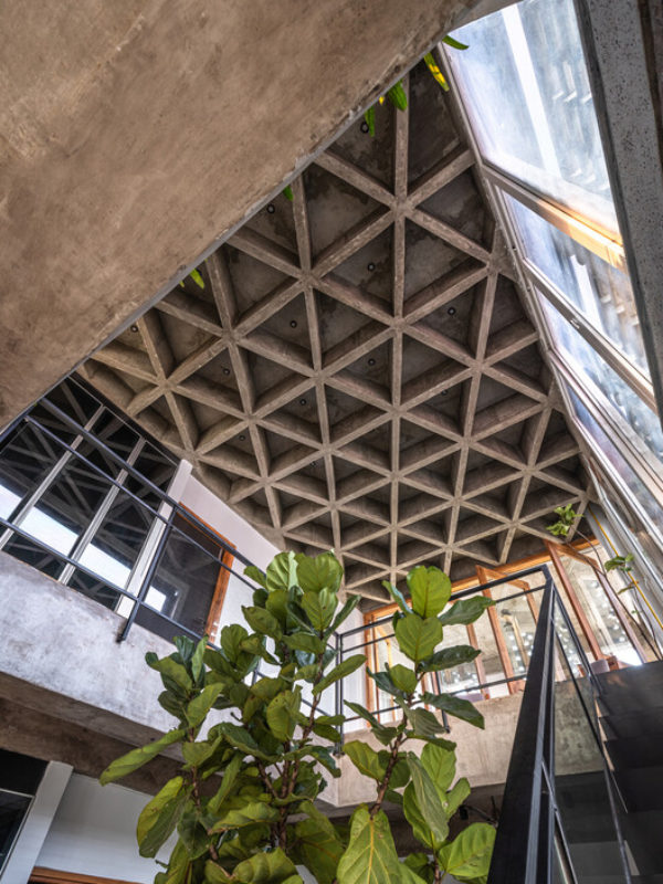 What is Waffle Ceiling and Why Should You Care?