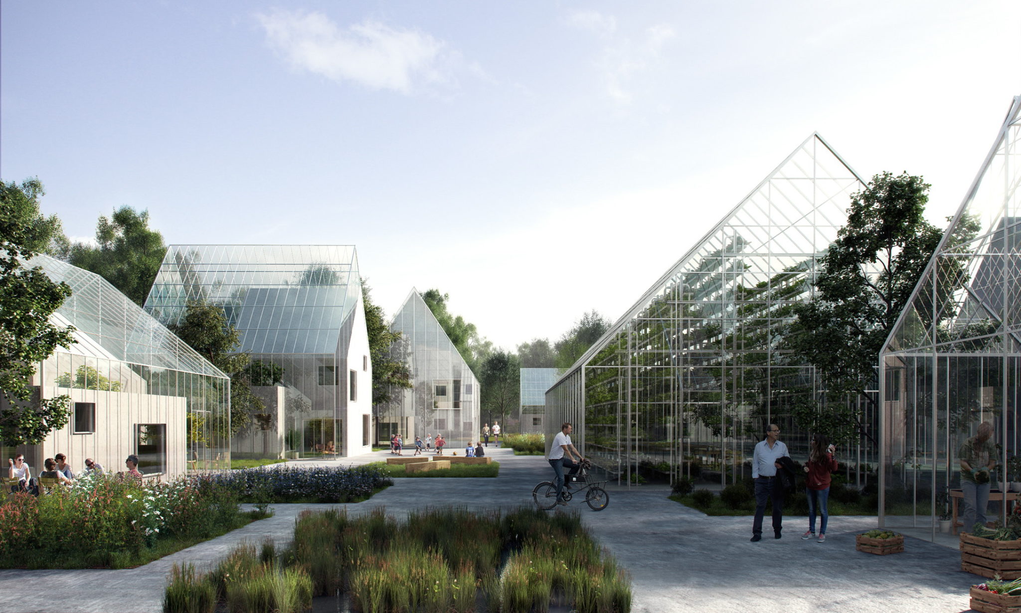 How Is Regenerative Architecture Changing Sustainability Fundamentals