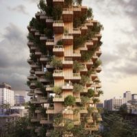 Timber Towers Arch2O