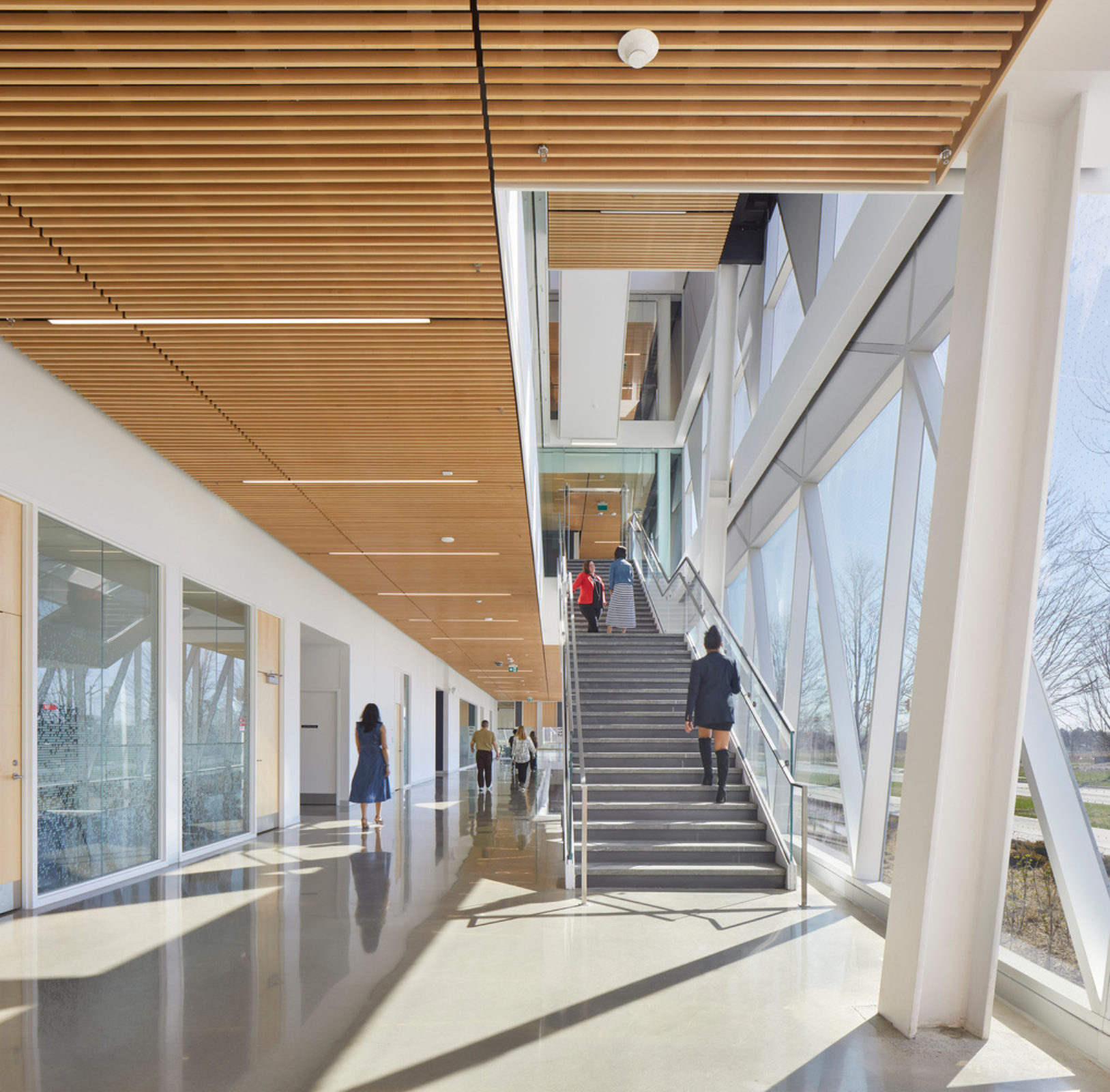 York University School of Continuing Studies | Perkins&Will - Arch2O.com