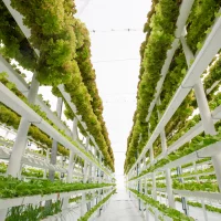 Greenhouses Arch2O
