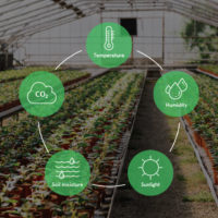 Greenhouses Arch2O