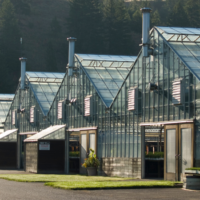 Greenhouses Arch2O