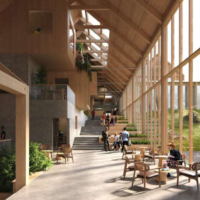 Mass Timber Campus Arch2O