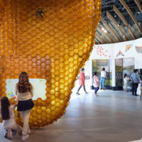 Gilder Center Arch2O