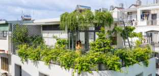 Secret Garden House Arch2O