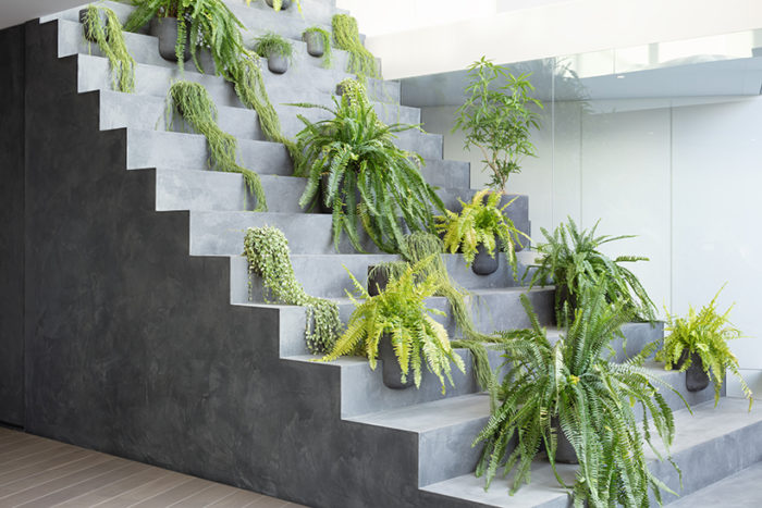 Concrete Staircase