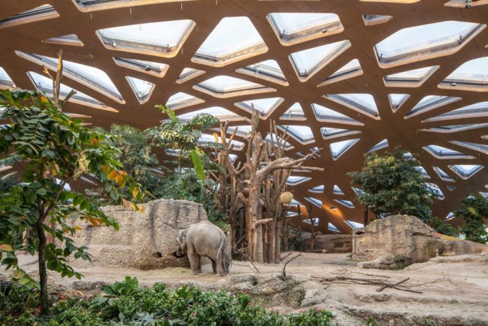 Elephant House Zoo Zu?rich | Markus Schietsch Architekten